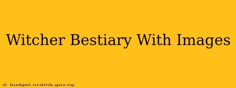 Witcher Bestiary With Images