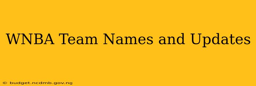 WNBA Team Names and Updates