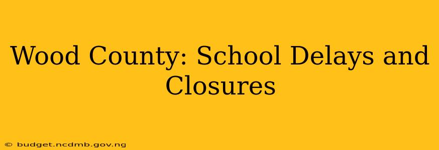 Wood County: School Delays and Closures