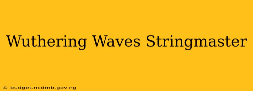 Wuthering Waves Stringmaster