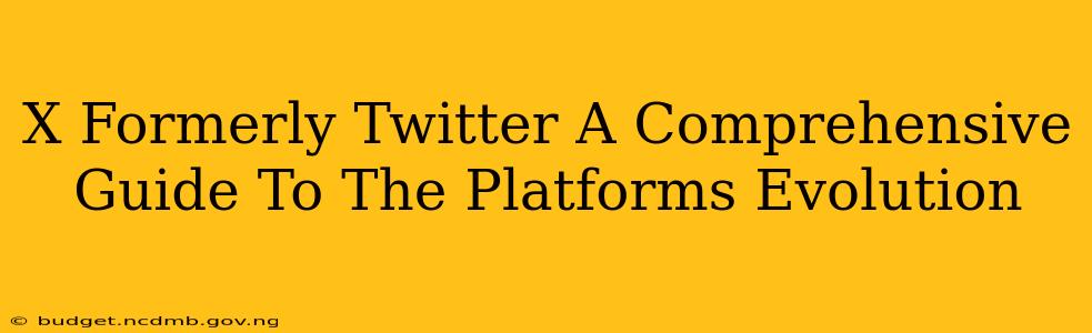X Formerly Twitter A Comprehensive Guide To The Platforms Evolution