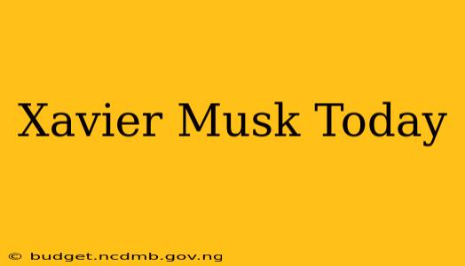 Xavier Musk Today