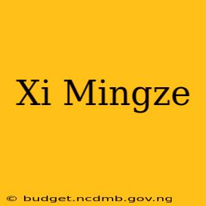 Xi Mingze