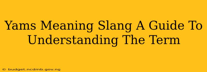 Yams Meaning Slang A Guide To Understanding The Term