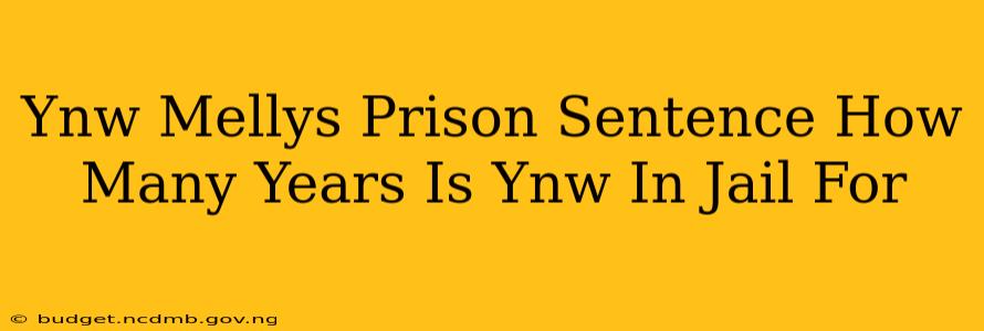 Ynw Mellys Prison Sentence How Many Years Is Ynw In Jail For