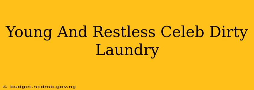 Young And Restless Celeb Dirty Laundry