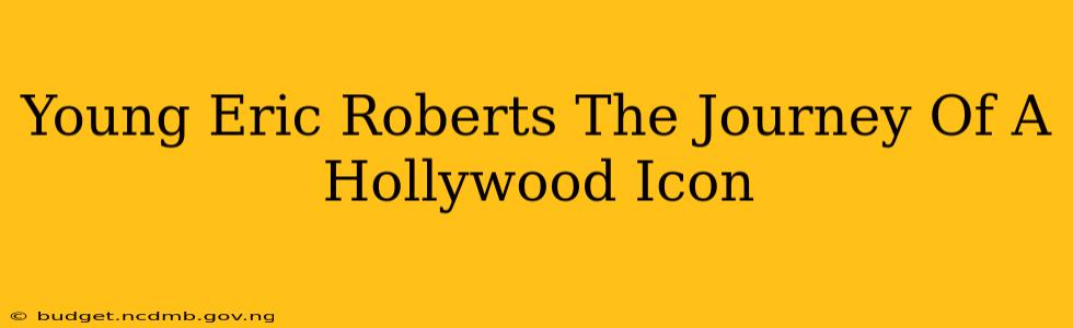Young Eric Roberts The Journey Of A Hollywood Icon