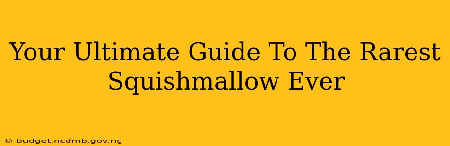 Your Ultimate Guide To The Rarest Squishmallow Ever