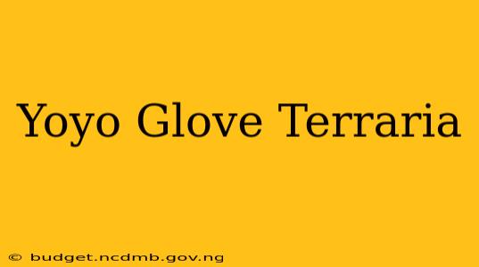 Yoyo Glove Terraria