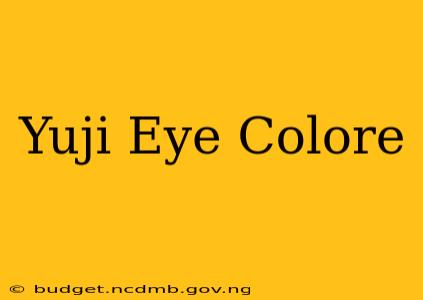 Yuji Eye Colore