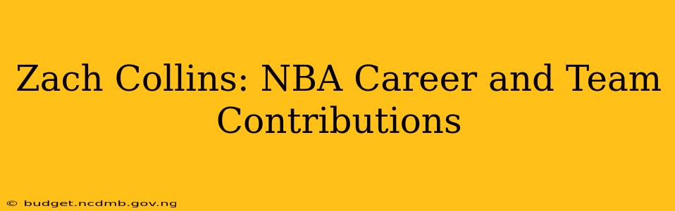 Zach Collins: NBA Career and Team Contributions