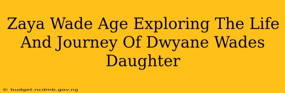 Zaya Wade Age Exploring The Life And Journey Of Dwyane Wades Daughter