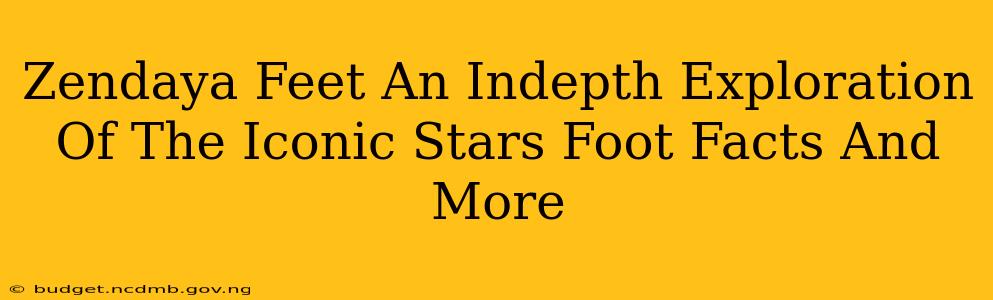 Zendaya Feet An Indepth Exploration Of The Iconic Stars Foot Facts And More