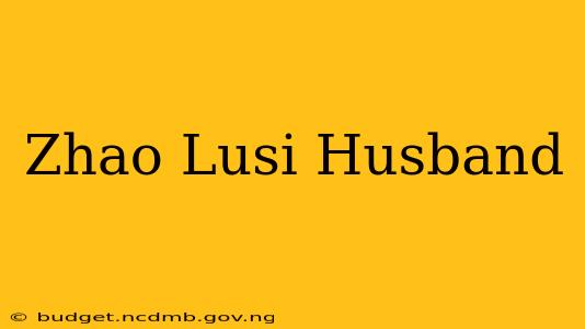 Zhao Lusi Husband