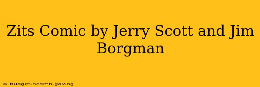 Zits Comic by Jerry Scott and Jim Borgman